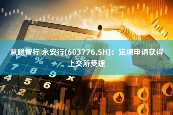 慧眼智行 永安行(603776.SH)：定增申请获得上交所受理