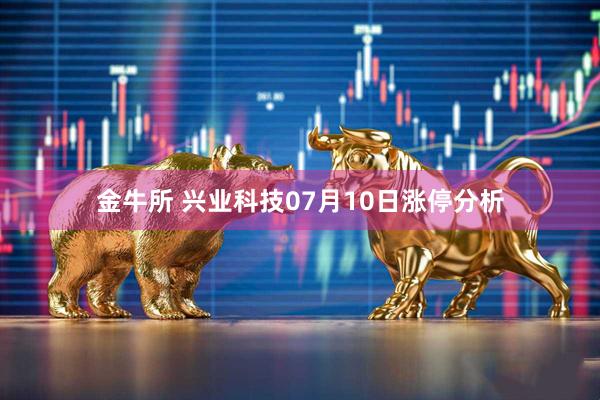 金牛所 兴业科技07月10日涨停分析
