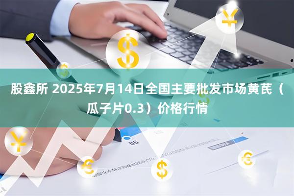 股鑫所 2025年7月14日全国主要批发市场黄芪（瓜子片0.3）价格行情
