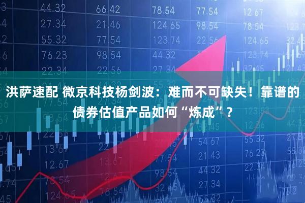 洪萨速配 微京科技杨剑波：难而不可缺失！靠谱的债券估值产品如何“炼成”？
